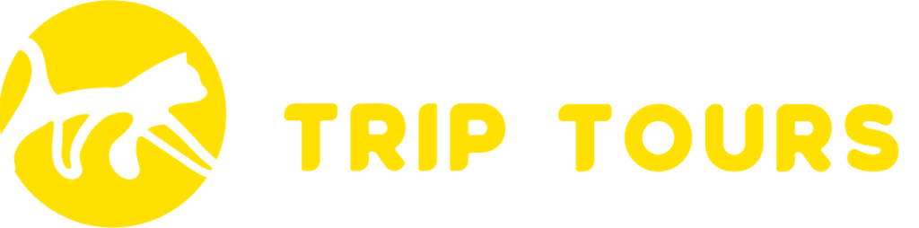 Logo de Trip Tours en amarillo y transparente